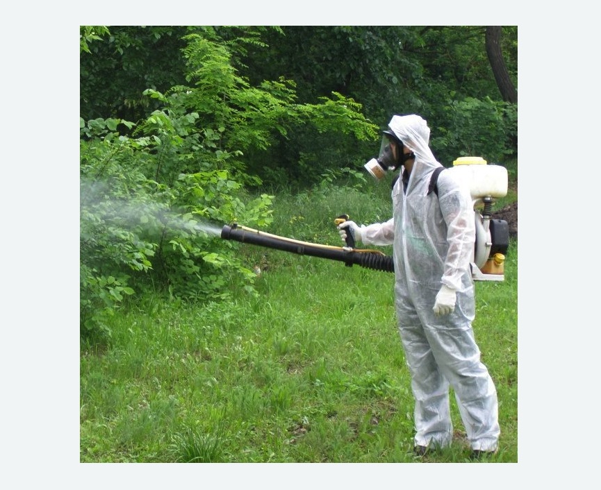 обработка территории от клещей в Андреаполе