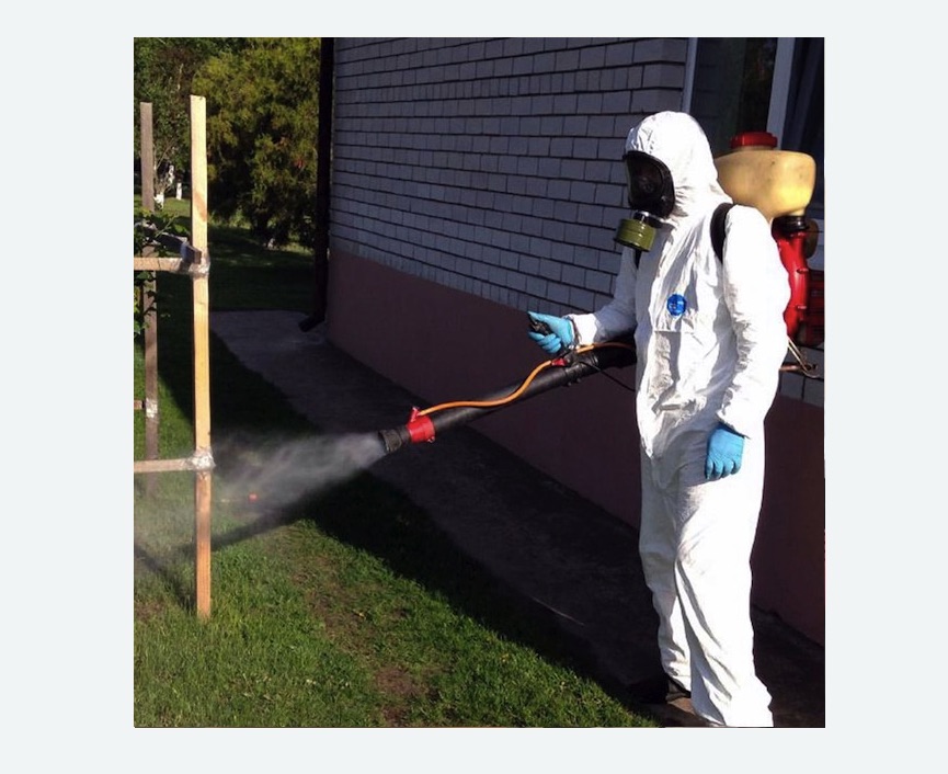 травля клещей на участке в Андреаполе