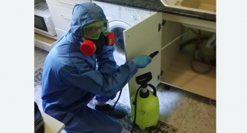 Уничтожение муравьев в квартире. Андреаполь