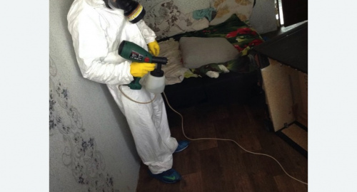 Обработка квартир от насекомых в Андреаполе