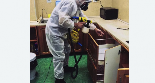 Дезинсекция квартиры. Андреаполь