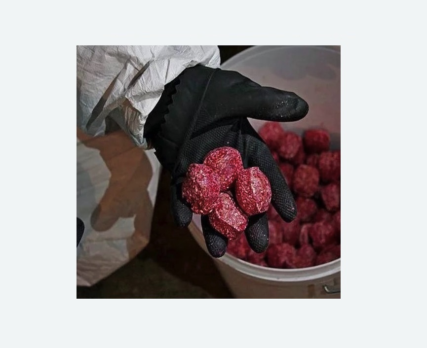 Обработка от крыс в Андреаполе