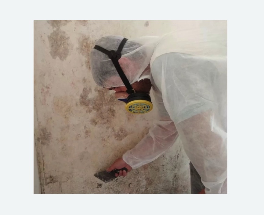 Обработка стен от плесени в Андреаполе