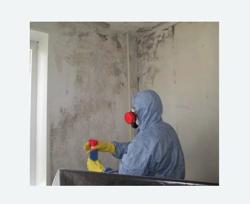 Удаление плесени в квартире в Андреаполе