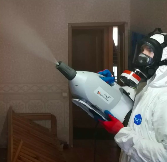 дезинсекция помещения в Андреаполе