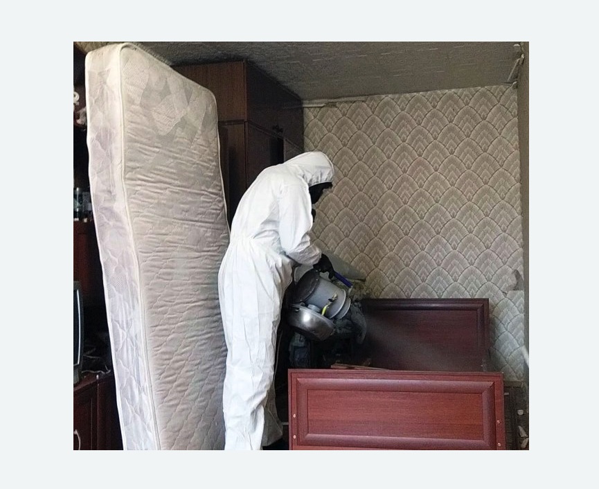 дезинфекция от клопов в Андреаполе