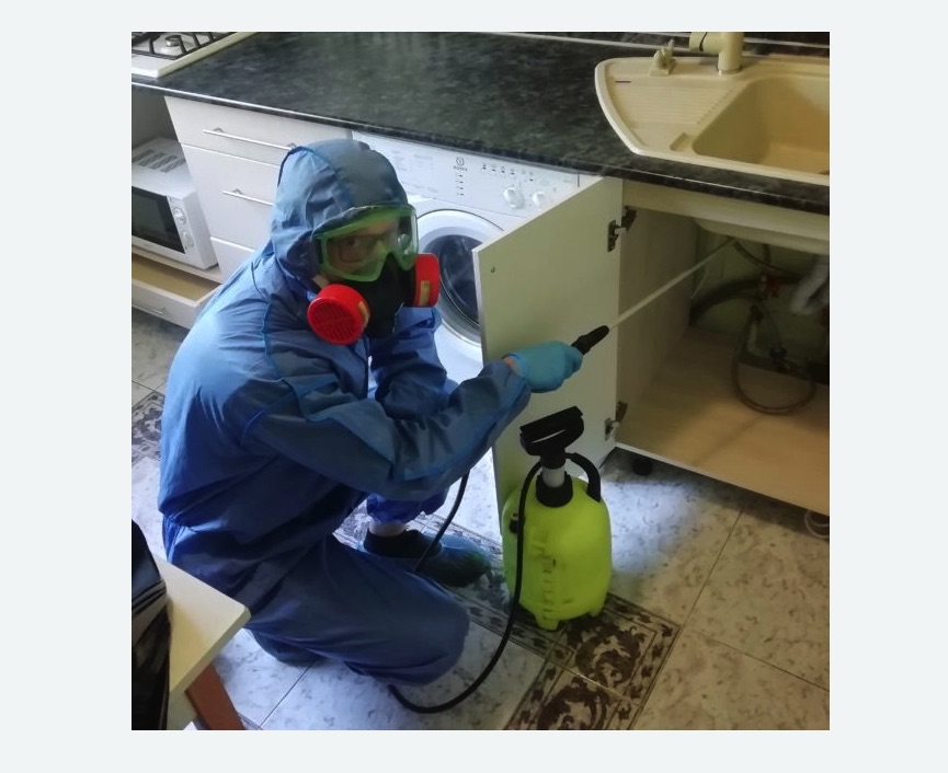 обработка от муравьев в квартире в Андреаполе