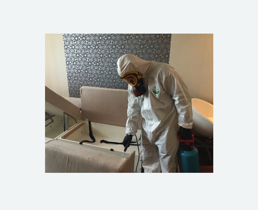 уничтожение клопов в квартире в Андреаполе