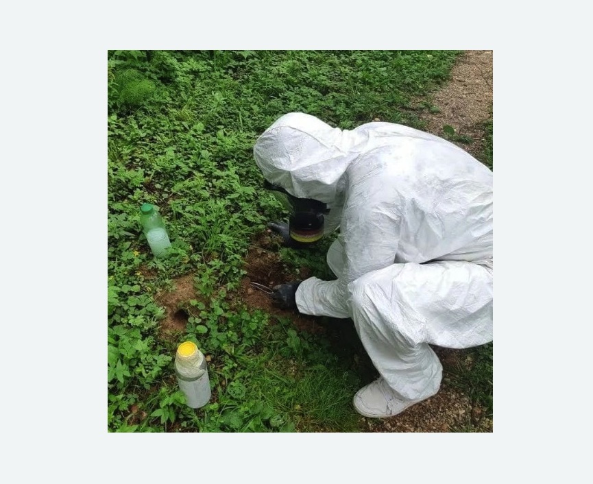 уничтожение кротов на участке в Андреаполе