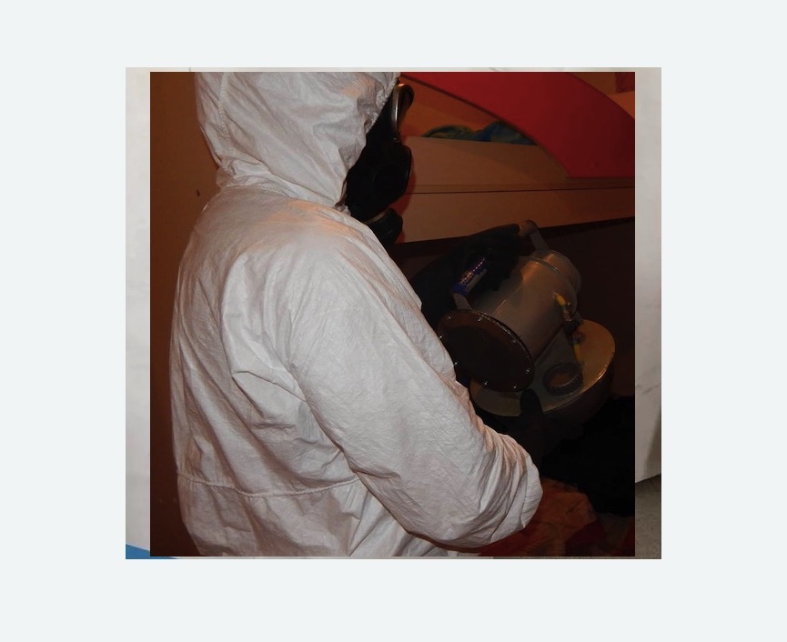 Дезинфекция от муравьев в Андреаполе