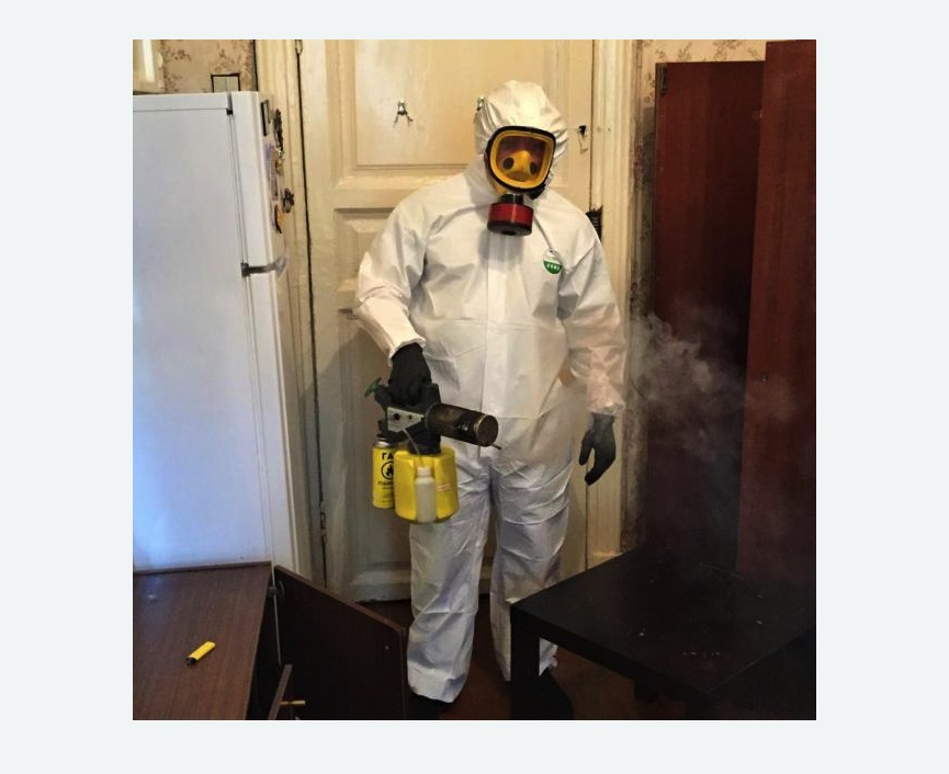 уничтожение муравьев в квартире в Андреаполе